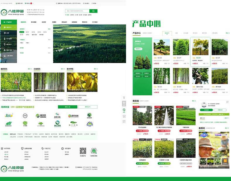 廣西商城定制開發(fā) 八桂種苗商城展示
